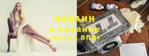 гидра Костерёво