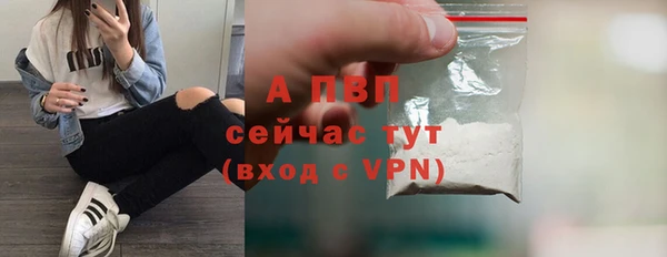 твердый Коряжма