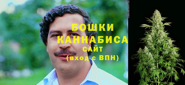 гашик Корсаков