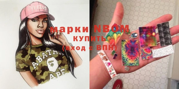 твердый Коряжма