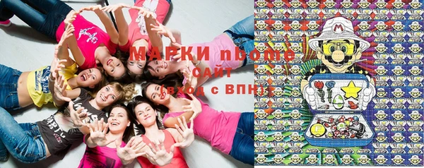 гашик Корсаков