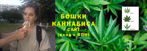 гидра Костерёво